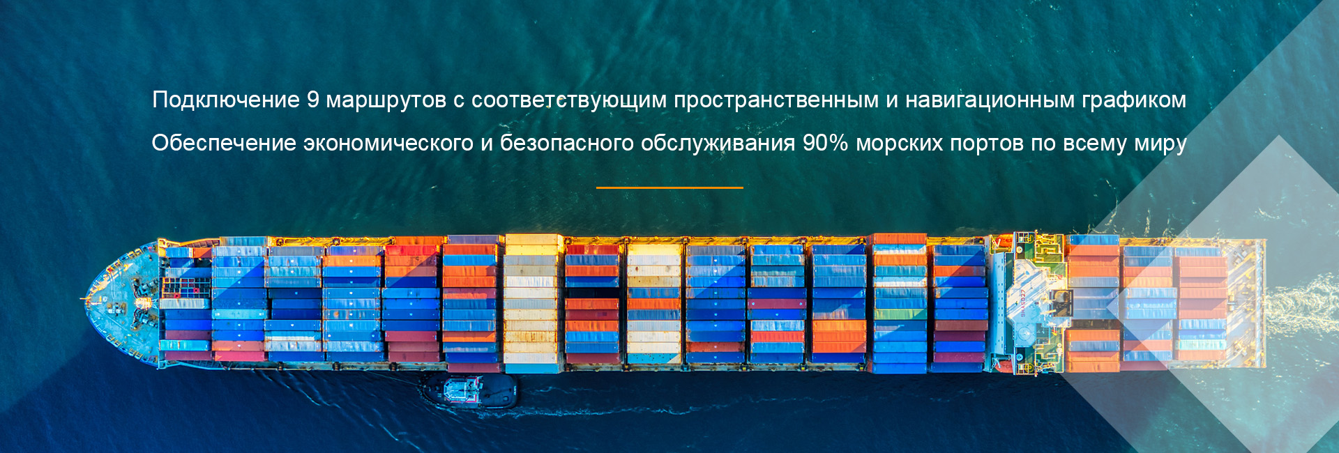 Licencia de exportación barata Transporte marítimo con la actitud adecuada